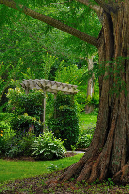 Bailey Arboretum