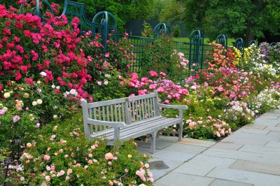 New York Botanical Garden