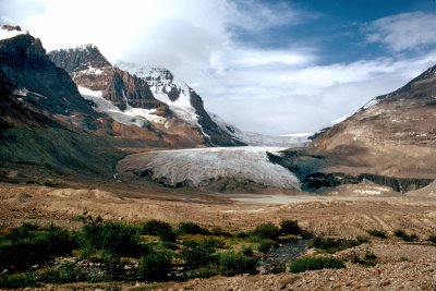 Athabasca Glacier, Columbia Ice Fields
