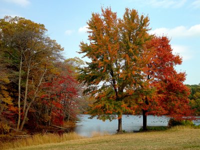 Caumsett State Historic Park, Lloyd Neck, NY