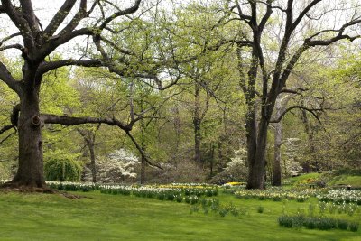 New York Botanical Garden