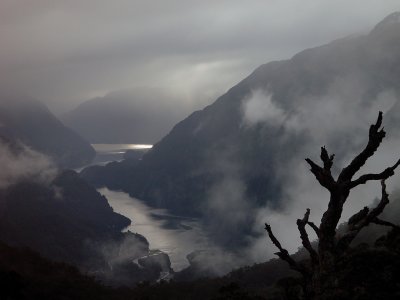 Doubtful Sound, South Island, New Zealand