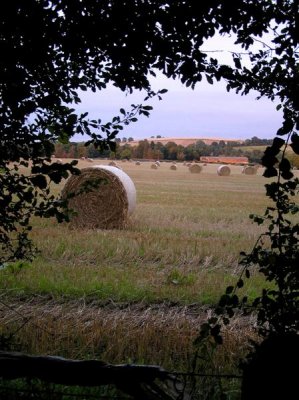 Midlothian farmland
