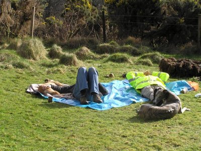 Relaxing in the April sun.