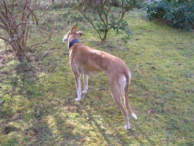 Don't tell Jeremy about the pruning.