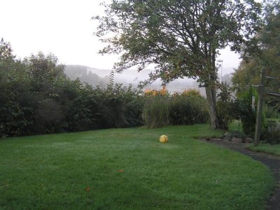 View from Dining room