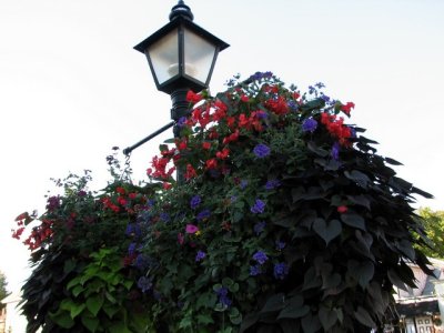 Niagara-on-the-Lake has its main street decorated in quaint streetlights and beautiful floral displays