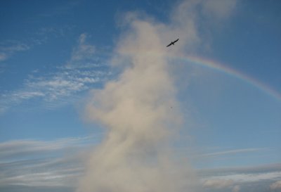 Niagara Falls - a bird flies through the mist from the falls, and through a rainbow!