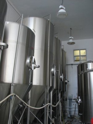 Look at all that beer!!