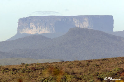 Tpui Ptari (Gran Sabana, 1er dcembre 2008)