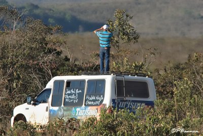 Gran Sabana (1er décembre 2008)