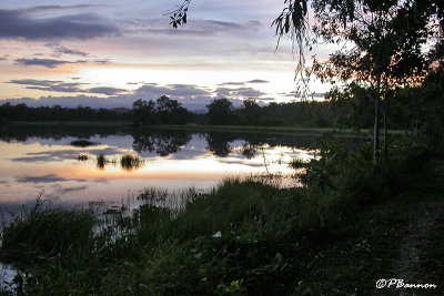 Finca Vuelta Larga