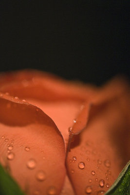 ...O and the sea the sea crimson sometimes like fire... ~ James Joyce, Ulysses