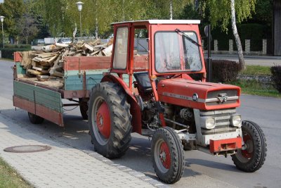 10145392www-mangl-at.JPG