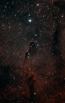 The Elephant Trunk Nebula - vdb 142 (HA-SynGreen-OIII/SBIG ST-8300M)