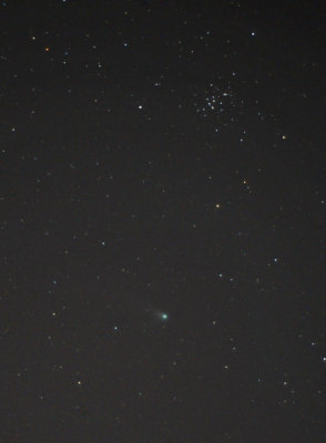 Comet Neat near M44