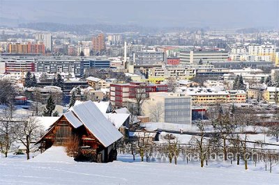 Zug im Winter (91597)