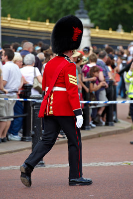 DSC_0206.jpg