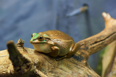 DSC_2509.jpg