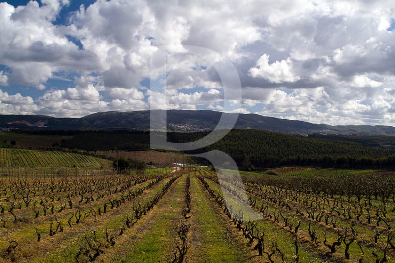 A Serra de Montejunto Vista do Peral