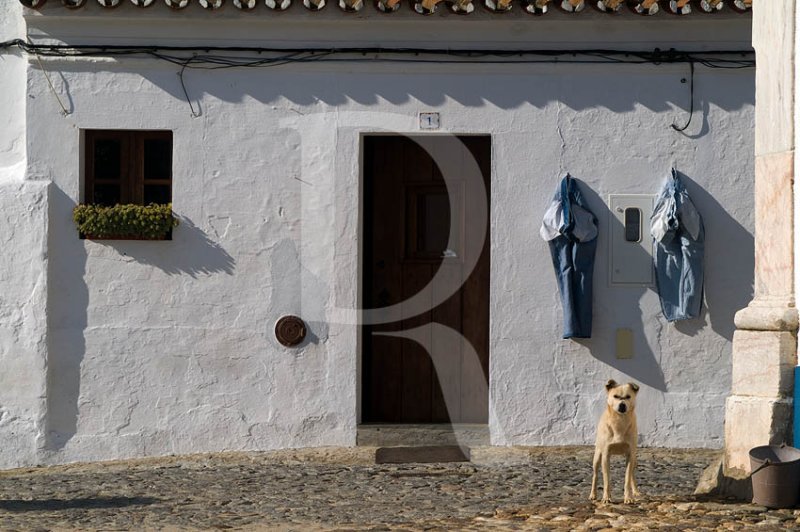 Terena