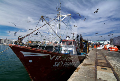 g1/21/4921/3/104270431.kNS0Djok.jpg