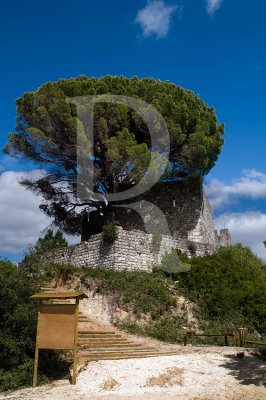 Castelo de Alcanede (IIP)