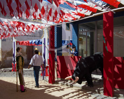 Festa das Flores de Papel