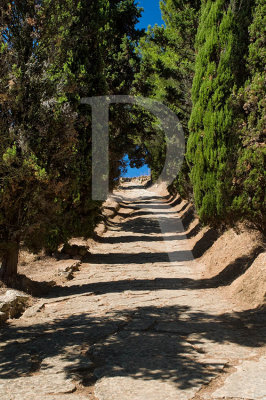 Área do Castelo Velho com as Ruínas da Cidade Romana de Miróbriga (IIP)