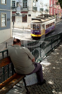 As Tardes Quentes de Lisboa