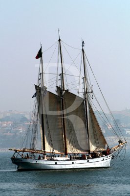 Barcos para Turismo