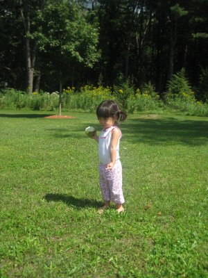 IMG_6187.JPG