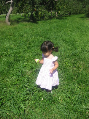 IMG_6203.JPG