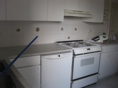 Picture 135.jpg