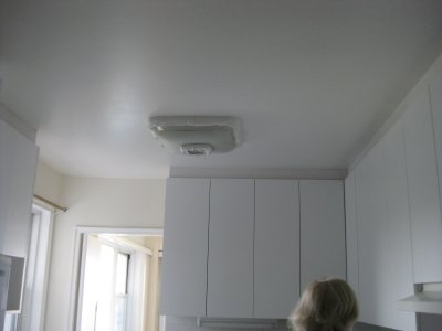 Picture 137.jpg