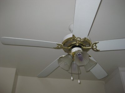 Picture 139.jpg