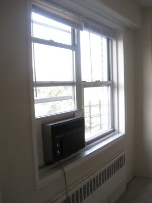 Picture 150.jpg