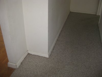 Picture 152.jpg