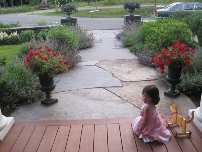 Picture 005.jpg
