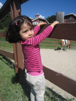 Picture 012.jpg