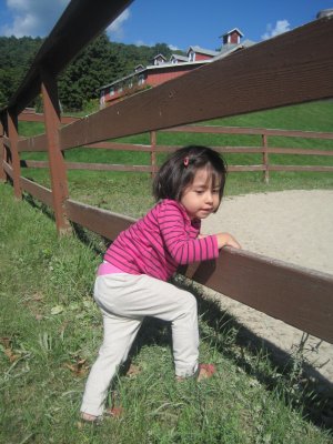Picture 014.jpg
