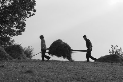 Peasants at work in Bran.jpg