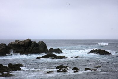 Atlantic waves hit A Corua.jpg