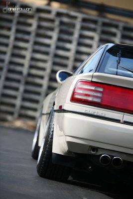 IMG_7810e copy.jpg