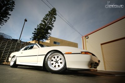 IMG_7965e copy.jpg