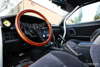 IMG_8028e copy.jpg