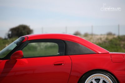 IMG_5124 copy.jpg