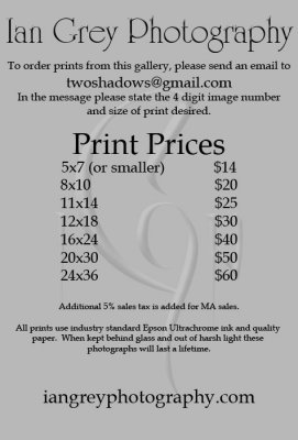 Print Prices