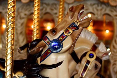Carousel 6