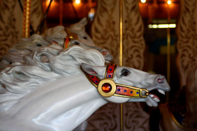 Carousel 5